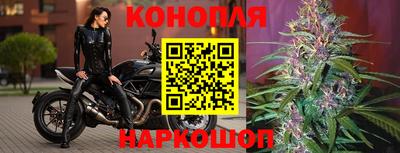 стаф Аша