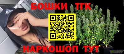 стаф Аша