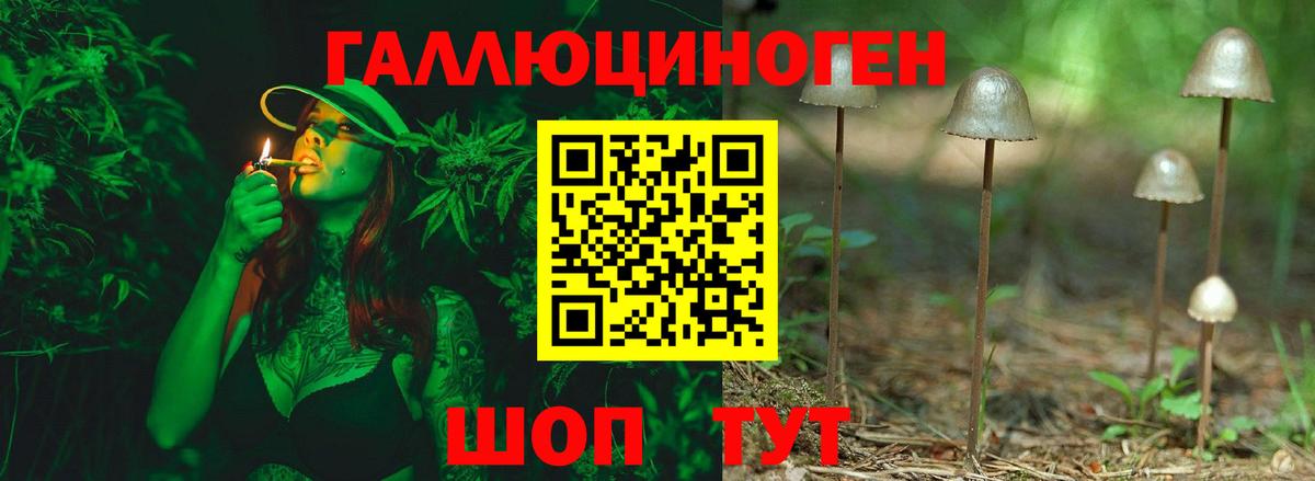 Петровск  Псилоцибиновые грибы ЛСД  наркошоп  Вход с VPN 